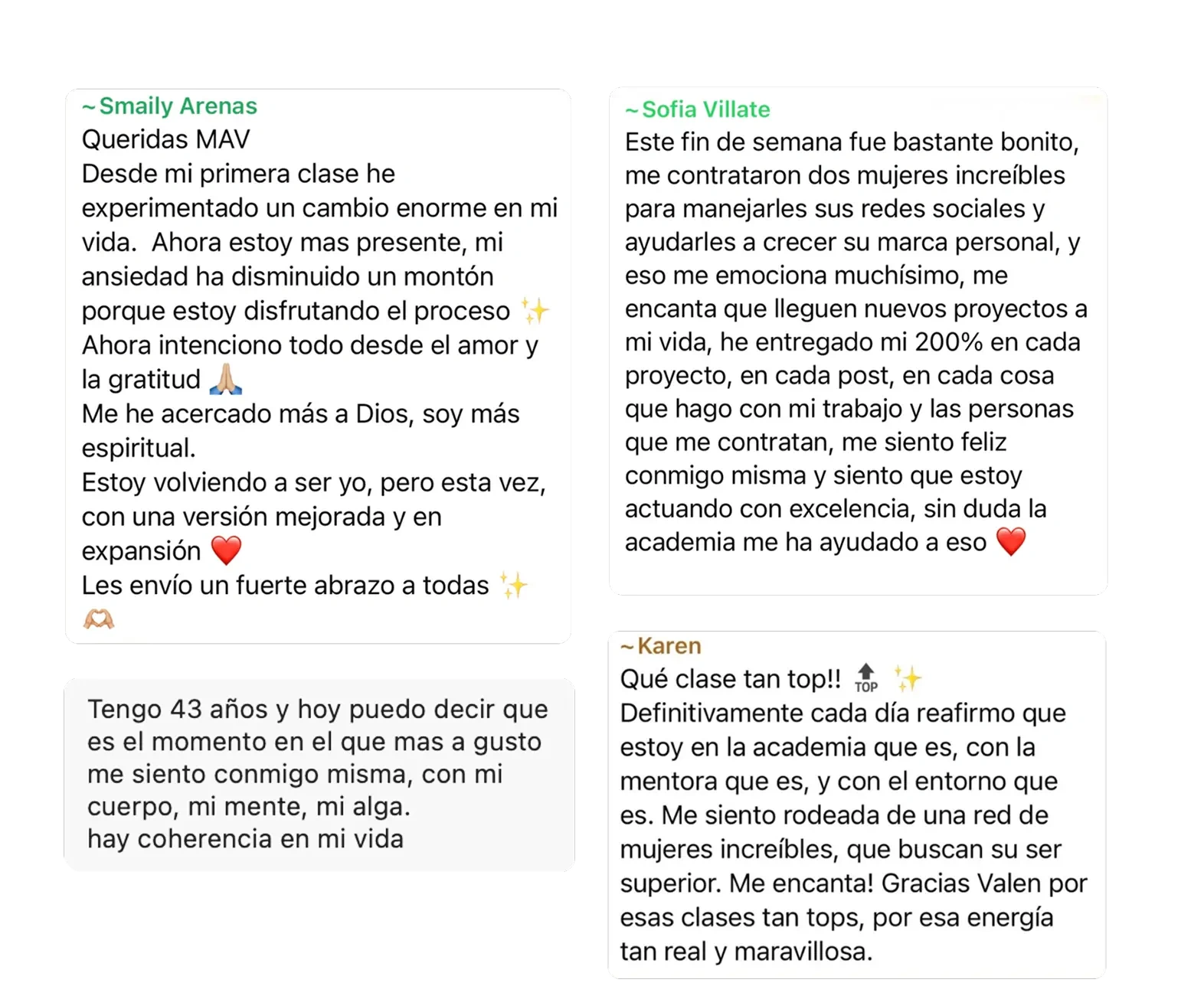 Más testimonios de alumnas MAV